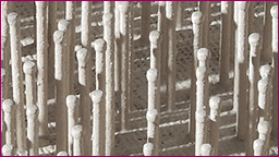 Guenther Uecker: Lichtintegration (1961), Kunstmuseen Krefeld Guenther Uecker: Lichtintegration (1961), Kunstmuseen Krefeld