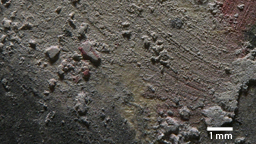 Detail einer Pastelloberfläche im Videomikroskop