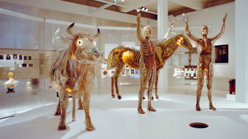 Gläserne Figuren in der Ausstellung "Der neue Mensch" im Deutschen Hygiene-Museum