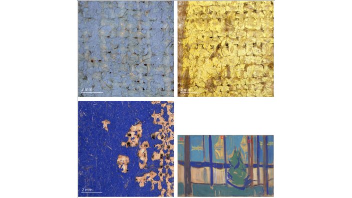 Edvard Munch, Strandlandschaft mit Bäumen und Booten (Foto: Ove Kvavik). Mikroskopaufnahmen des Gemäldes von kohäsiv geschwächten Malschichtbereichen, die z.T. zusätzlich einen Adhäsionsverlust zum Träger aufweisen.