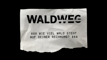 Museum (Bild: KISD ) Museum (Bild: KISD )