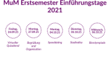 Info-Graphik für die Einführungstage Master Markt- und Medienforschung 2021 (Bild: Rena Kloppers)