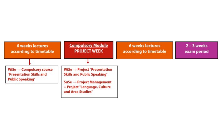 Semester structure at the Institute of Translation and Multilingual Communication 