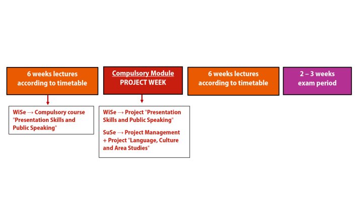 Semester structure at the Institute of Translation and Multilingual Communication 