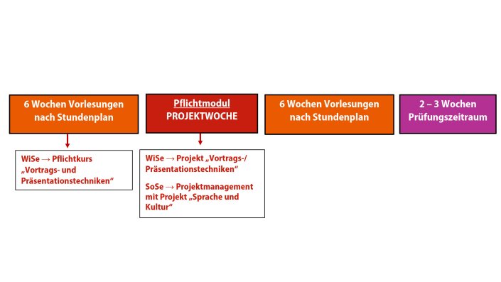 ITMK-Semesterstruktur