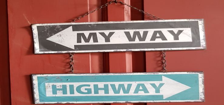 2 Schilder mit Richtungspfeilen My Way und Highway (Bild: Photo by Rommel Davila on Unsplash)