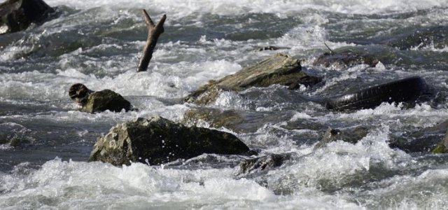 Wildes Wasser (Bild:TH Köln)