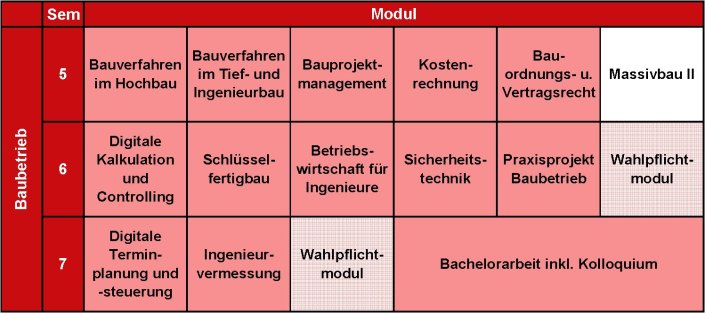 Tabellarische Darstellung der Lehrmodule in der Studienrichtung Baubetrieb