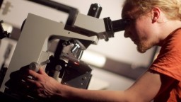 Lichtfelder im Mikroskop (Bild: FH Köln /Stefan Altmeyer)