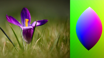 Die Spindle (rechts) zur Farbkorrektur des Bildes (links). (Bild: TH Köln)
