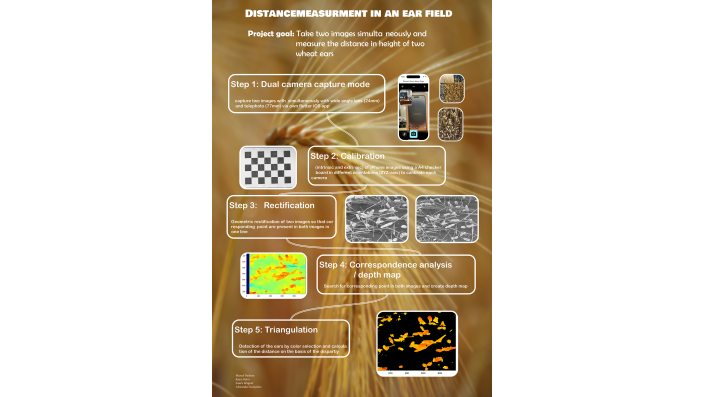 Projekt Distance Measurement in an Ear Field