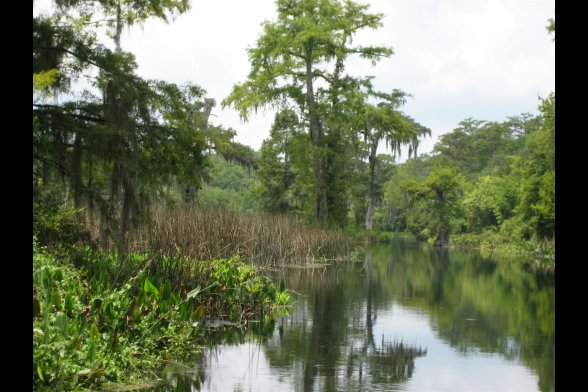 Walkulla Springs, Florida