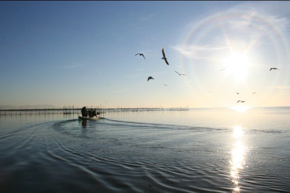 Der Süßwassersee La Albufera südlich der Stadt