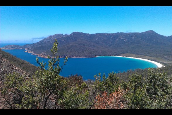 Bucht mit Sandstrand und Wald