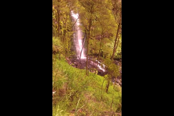 Wasserfall im Regenwald