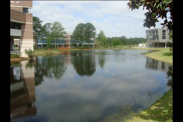 UNF Campus