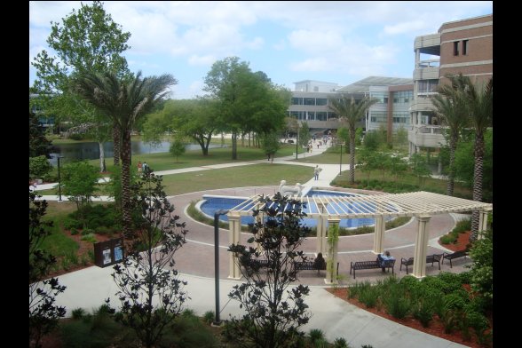 UNF Campus