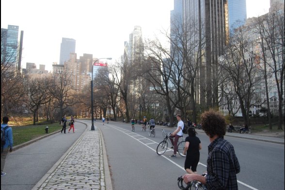 Fahrradfahrer stehen auf einer Straße neben dem Central Park