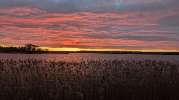 Abendsonne in Südschweden (Bild: Johan Dasbach) Abendsonne in Südschweden (Bild: Johan Dasbach)