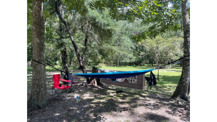 Manatee Springs State Park