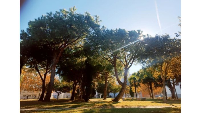 Campus gardens and faculty buildings — UPV Vera