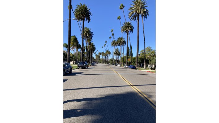 Beverly Hills Los Angeles
