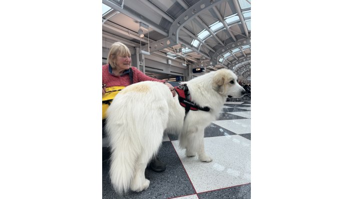 Day 1: Service Dog