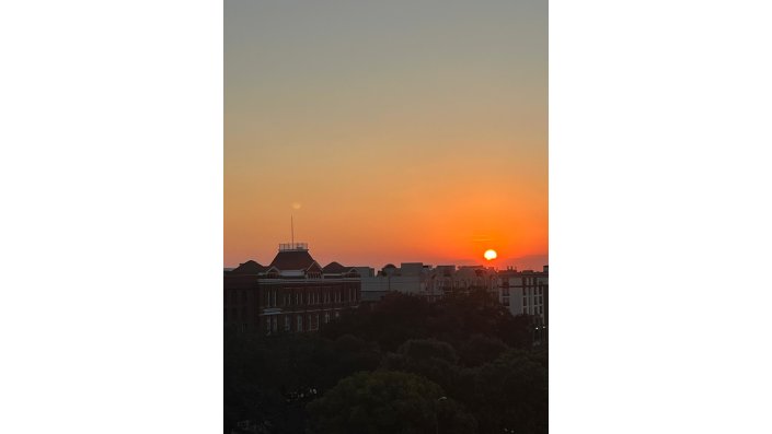Sunset in Savannah