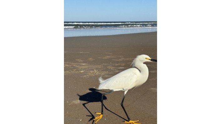 Day 5: Jacksonville Beach