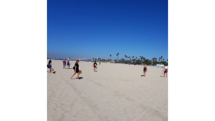 Beach Cleanup in Long Beach
