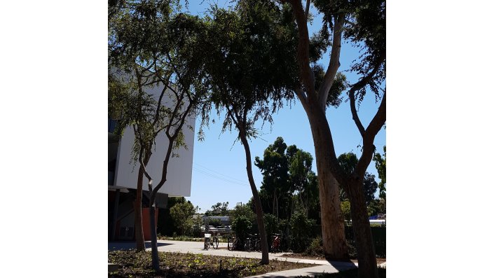 CSULB Campus