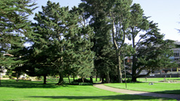 Grünanlage der San Francisco State University (Bild: Peter J. Schäfer)