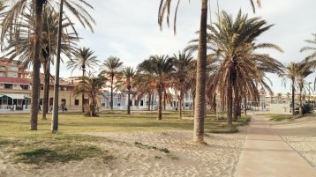 Palmen, Sand und Rasen und ein Weg der hindurch führt. (Bild: Yvette Gossel)