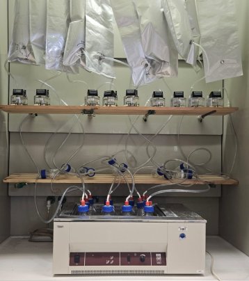 Biogas-batch-Versuch