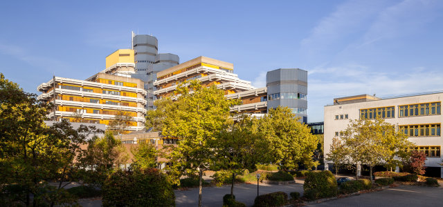 Blick auf den Campus Deutz mit Bäumen und Grünflächen im Vordergrund (Bild:Sebastian Hopp/TH Köln)