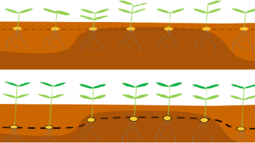 Schematische von Ist- und Soll-Zustand Schematische von Ist- und Soll-Zustand