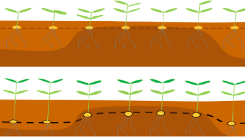 Schematische von Ist- und Soll-Zustand (Bild: Mirjam Flanhardt)