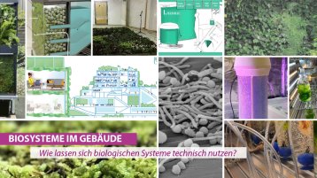 GreenING Lab Biosysteme  (Bild: Prof. Nina Kloster, TH Köln)