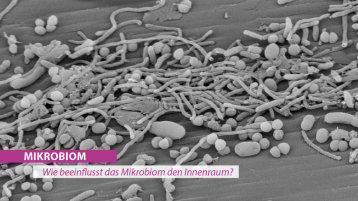 GreenING Lab Mikrobiom (Bild: Prof. Nina Kloster, TH Köln)
