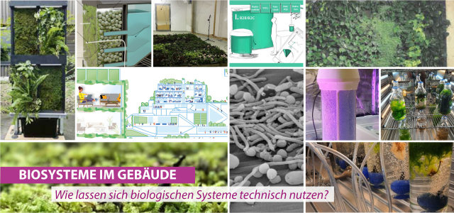 GreenING Lab Naturnahe Gebäude (Bild:Prof. Nina Kloster, TH Köln)