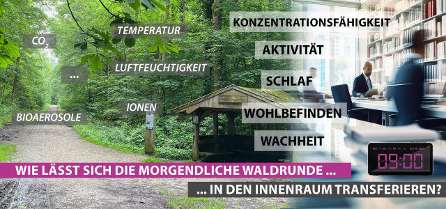 GreenING Lab (Bild:Prof. Nina Kloster, TH Köln)