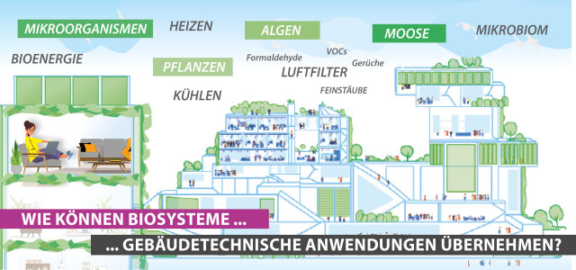 GreenING Lab  (Bild:Prof. Nina Kloster, TH Köln)
