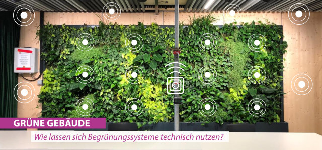 GreenING Lab Naturnahe Gebäude (Bild:Prof. Nina Kloster, TH Köln)