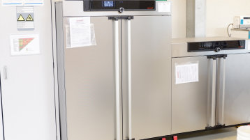 Brutschrank
