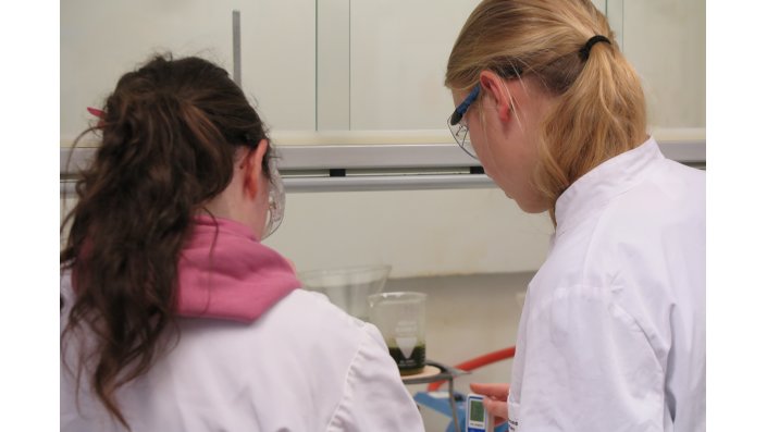 Zwei Schülerinnen beobachten Reaktionsverlauf und messen Temperatur.