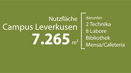 Infografik Nutzfläche