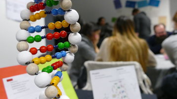 DNA-Modell (Bild: Viola Gräfenstein/TH Köln) DNA-Modell (Bild: Viola Gräfenstein/TH Köln)