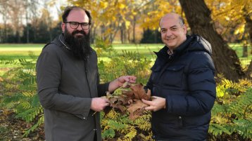 Prof. Dr. Stéphan Barbe, TH Köln und Gastwissenschaftler Prof. Dr. Leonardo Clavijo von der Universidad de la República de Uruguay (Bild: Viola Gräfenstein/TH Köln)