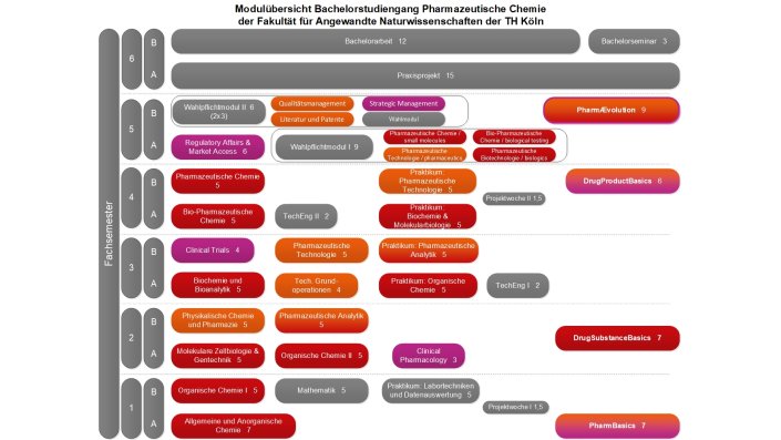 Modulübersicht Pharmazeutische Chemie Bachelor PO4
