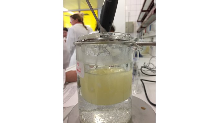 Schülerlabor Chemie am Campus Leverkusen